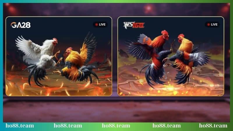 Đôi nét về sảnh cược GA28 