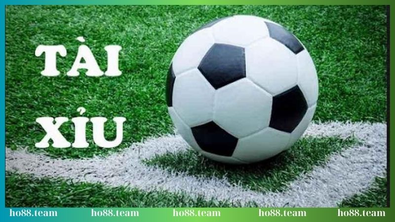 keo cuoc tai xiu cuc hap dan tai ho88