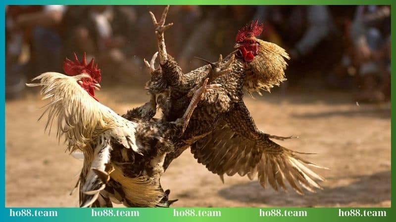 Tính năng bảo mật cực đỉnh tại sảnh