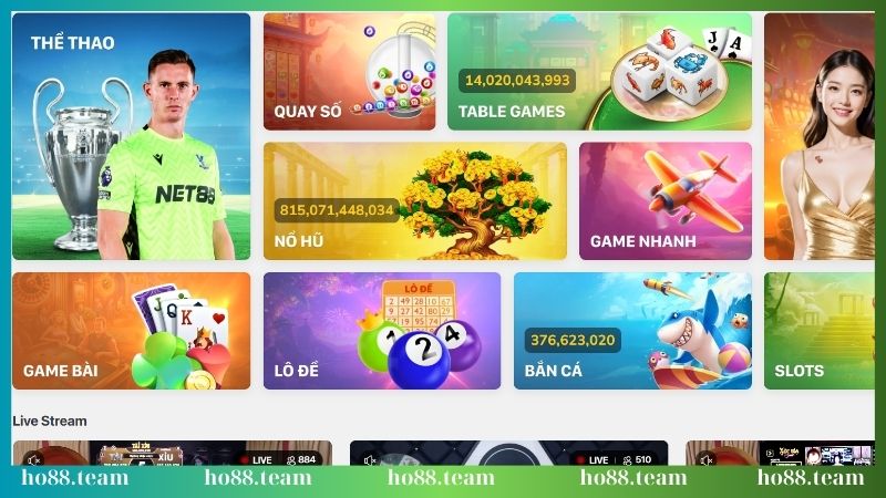 truy cap vao web khi dang ky ho88 thanh cong