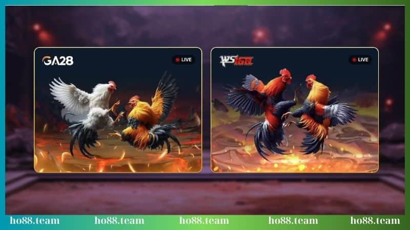 WS168 - Giới thiệu sảnh cược hot hit